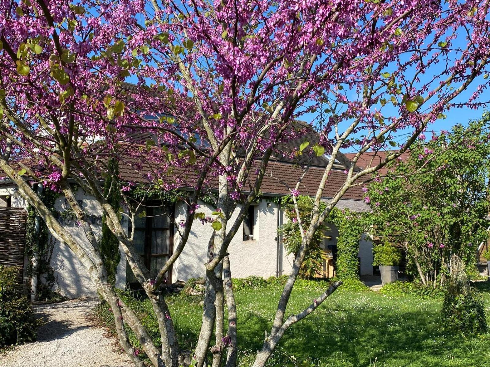 Appartamento Les Barongères Farges-les-Chalon Esterno foto